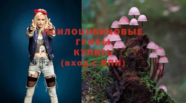 spice Балахна